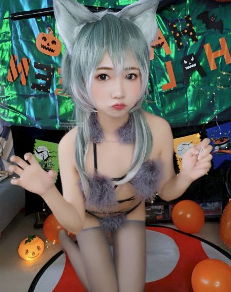 我的老婆是会长大人